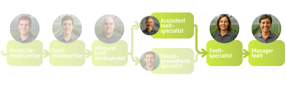 Assistent Teeltspecialist