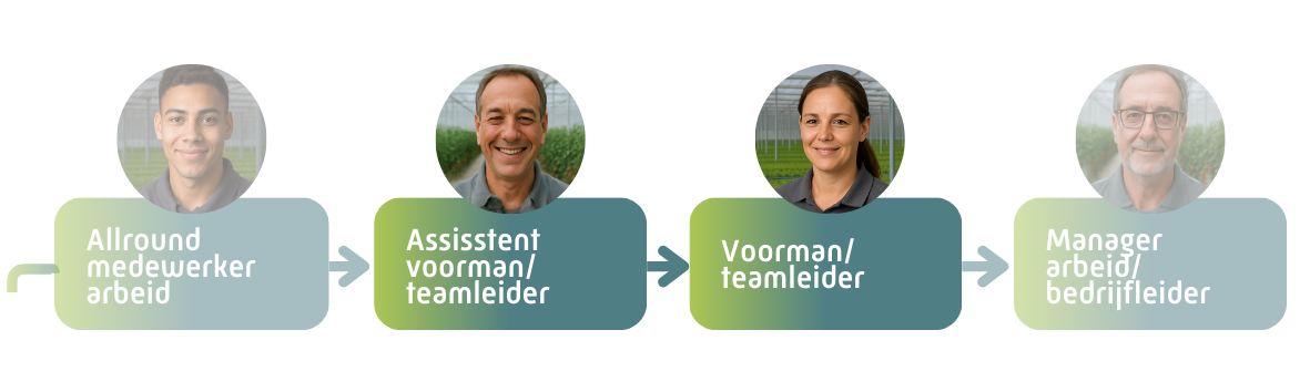 Assisstentvoormanteamleider