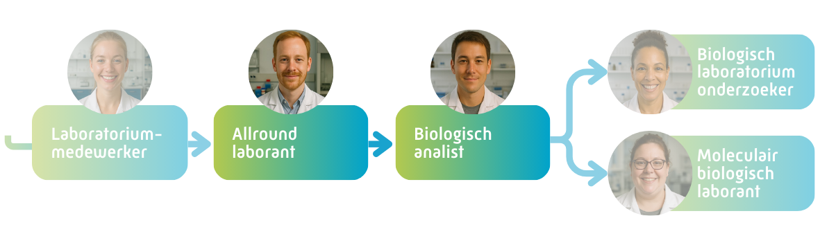 Allround Laborant