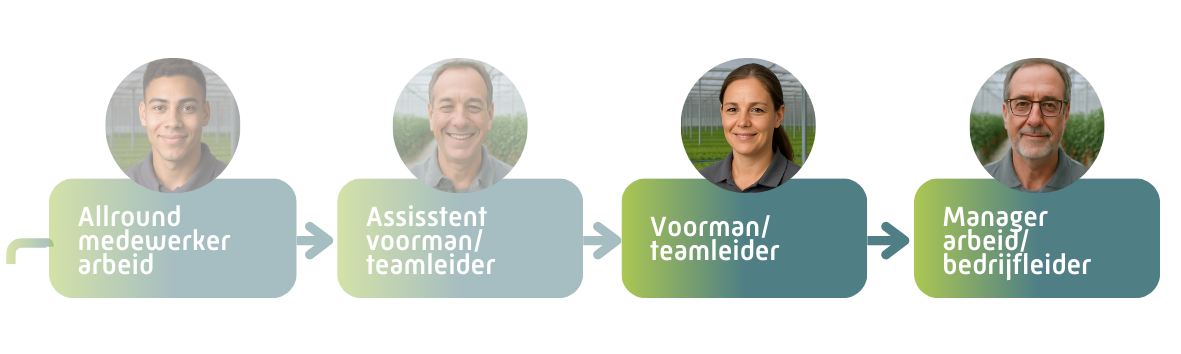 Voormanteamleider